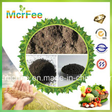 High Grade Amino Acids Organic Fertilizer for Sale